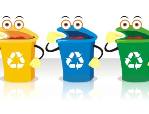 Visite guidate per le scuole