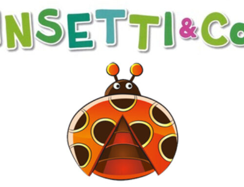 INSETTI & Co